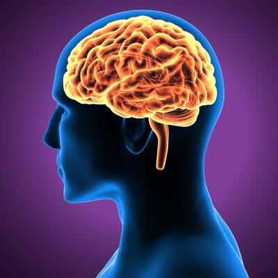 Yeni kimlik doğrulama yöntemi yolda: Beyin dalgaları