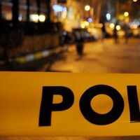 Sokak köpeği, bulduğu ölü bebeği kafenin önüne bıraktı