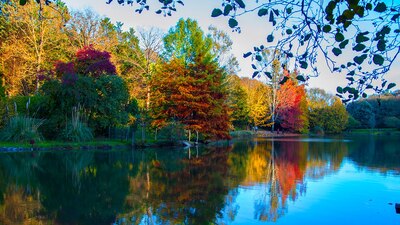 Atatürk Arboretumu nerede?