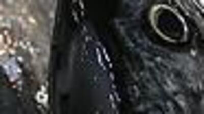 Uzmanlar öneriyor: Bol bol tüketin!