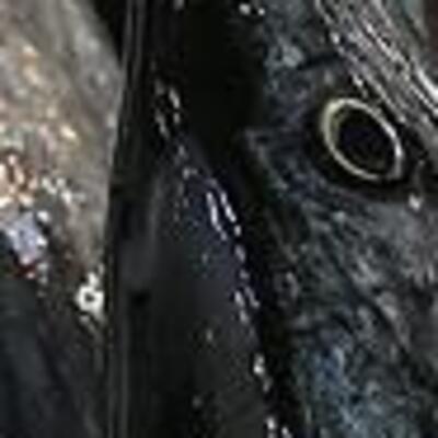 Uzmanlar öneriyor: Bol bol tüketin!