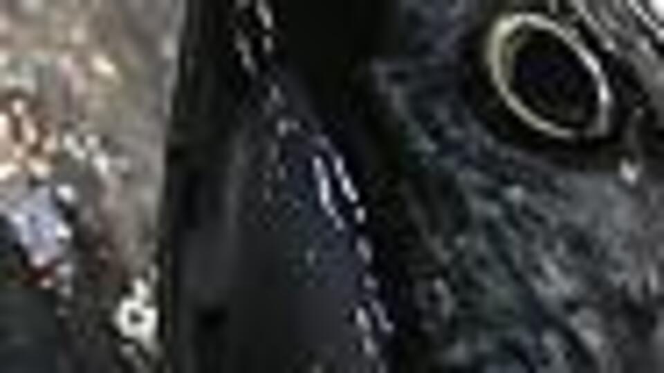 Uzmanlar öneriyor: Bol bol tüketin!