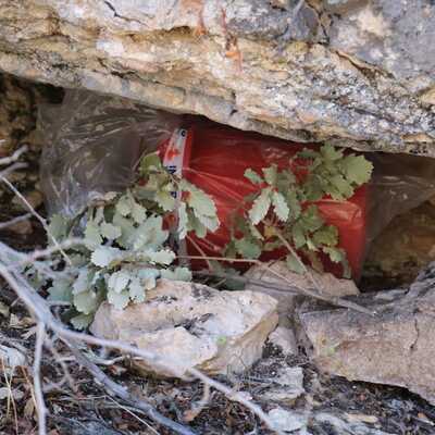 Kayanın altındaki uyuşturucuyu jandarma buldu