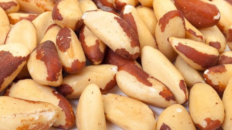 Brezilya cevizi mucize mi?