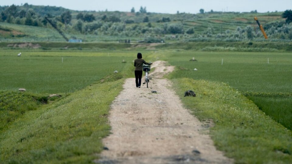 Kuzey Kore'den kaçan kadınlar: Cinsel şiddet ülkede günlük yaşamın bir parçası