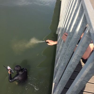 Kaçak midye avcılarına biber gazlı müdahale!