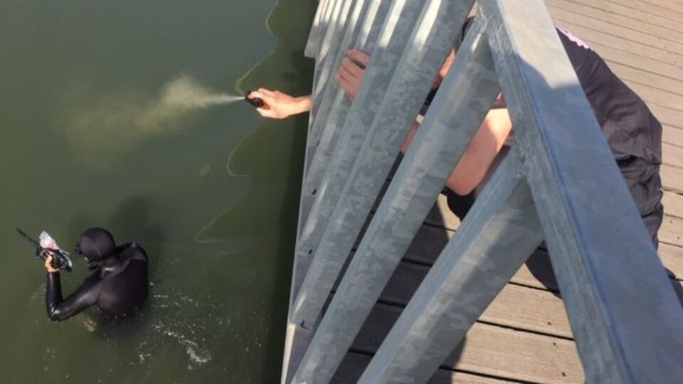 Kaçak midye avcılarına biber gazlı müdahale!