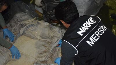 Koyun postundan 3.1 milyon "hap" çıktı! Piyasa değeri 31 milyon lira!