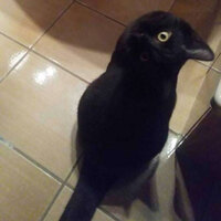 İlk bakışta ne gördünüz?