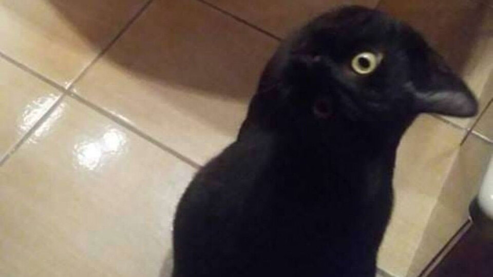 İlk bakışta ne gördünüz?