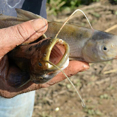 Vatandaşı tedirgin eden görüntüler!