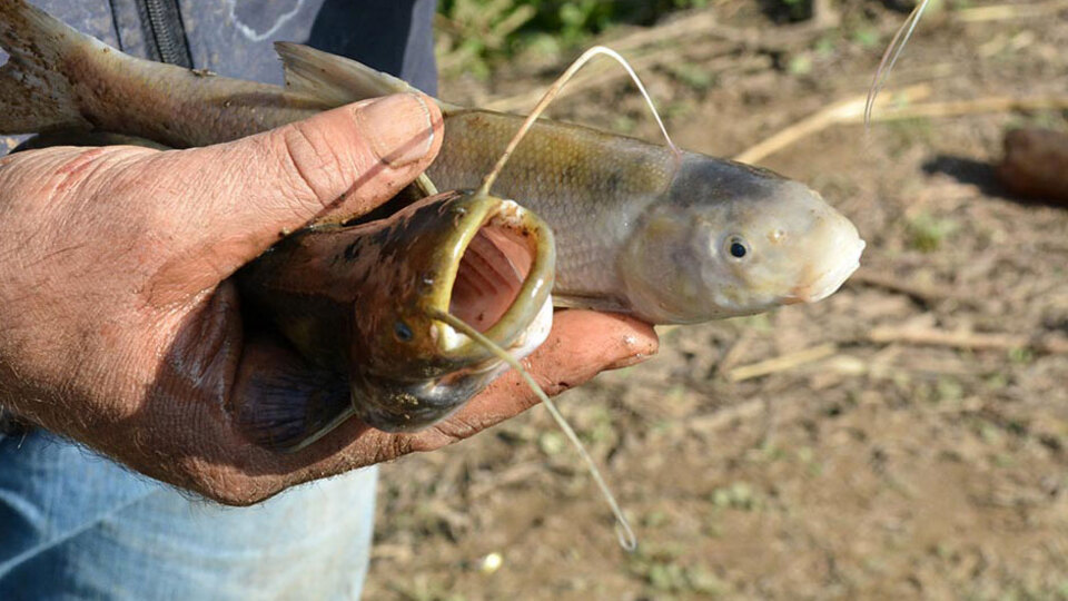 Vatandaşı tedirgin eden görüntüler!