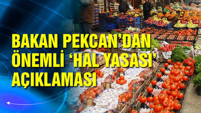 Pekcan'dan 'Hal Yasası' açıklaması