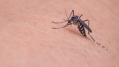 Leyla Bilginel ile gündeme gelmişti! 92 can aldı