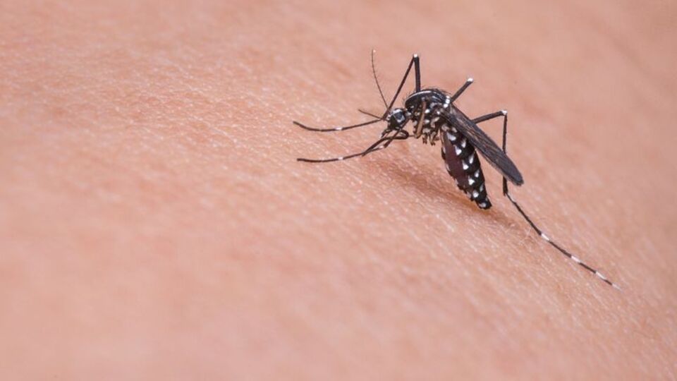 Leyla Bilginel ile gündeme gelmişti! 92 can aldı