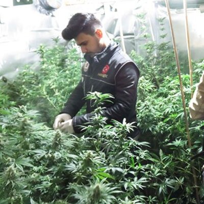 Beykoz'da villaya uyuşturucu baskını! Şok görüntüler