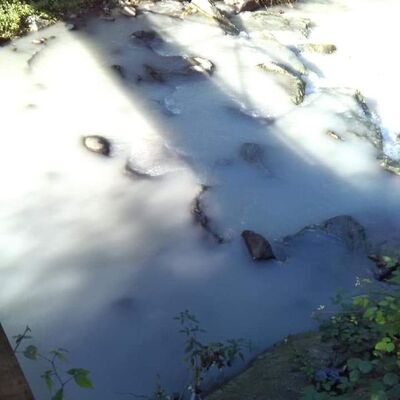 İsyan ettiren görüntü! Suya artık kimse yaklaşamıyor