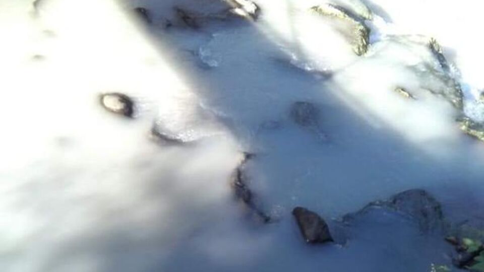 İsyan ettiren görüntü! Suya artık kimse yaklaşamıyor