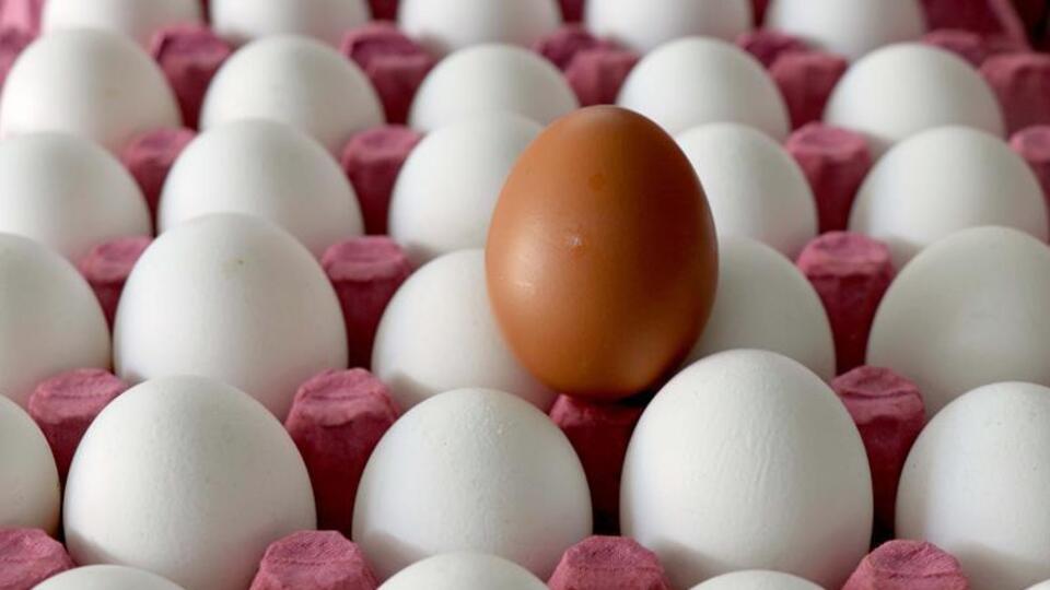 Yumurta ihracatı rekora koşuyor