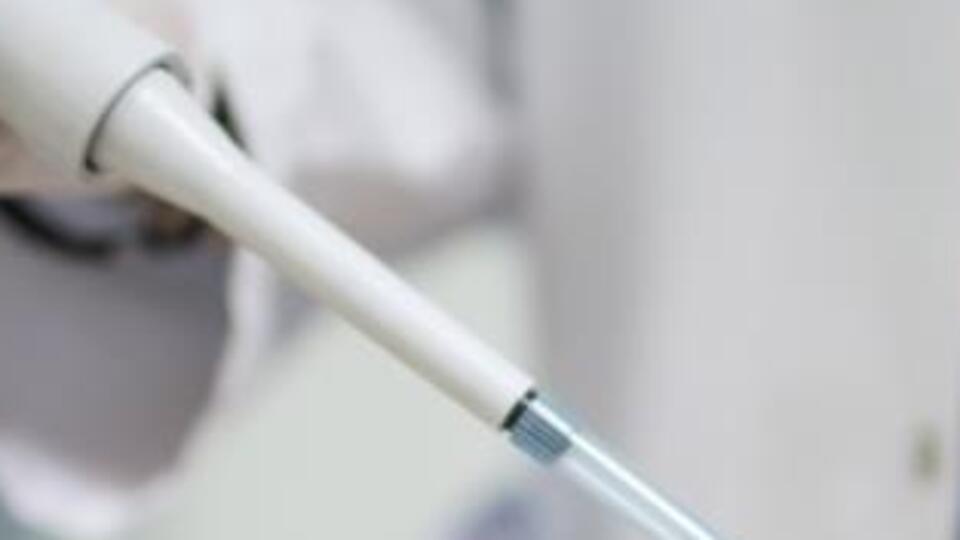 Eski kraldan DNA testi istendi!