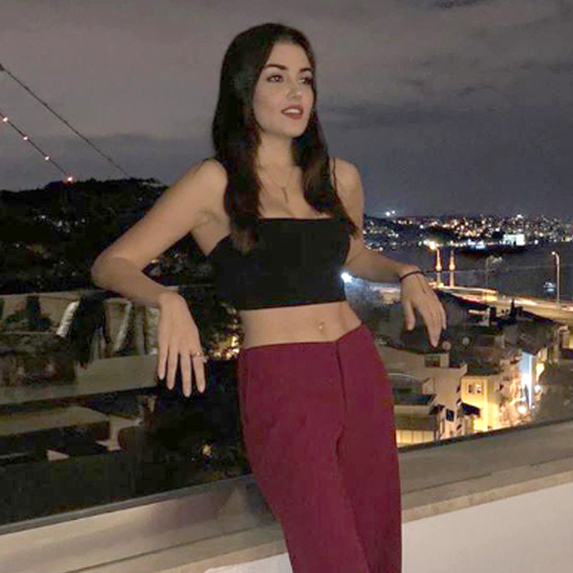 Hande eridi