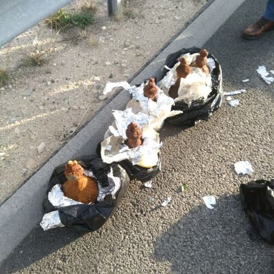 Tarihi eser operasyonunda 2 bin yıllık şarap testisi ele geçirildi!