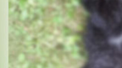 Bunu yapan insan olamaz! Tam bir vahşet