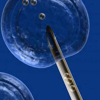 Komisyon kabul etti! Taşıyıcı annelik...