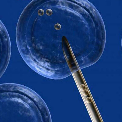 Komisyon kabul etti! Taşıyıcı annelik...