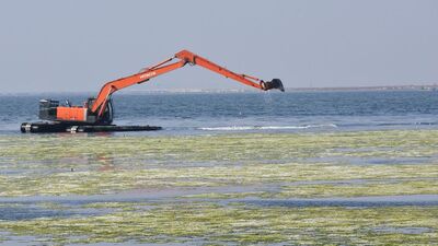 İşte İzmir Körfezi'ndeki son durum!