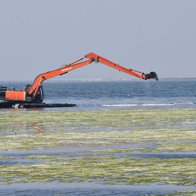 İşte İzmir Körfezi'ndeki son durum!
