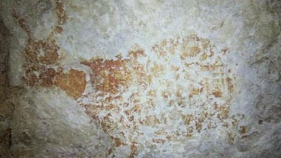 Dünyanın en eski hayvan resmi bulundu