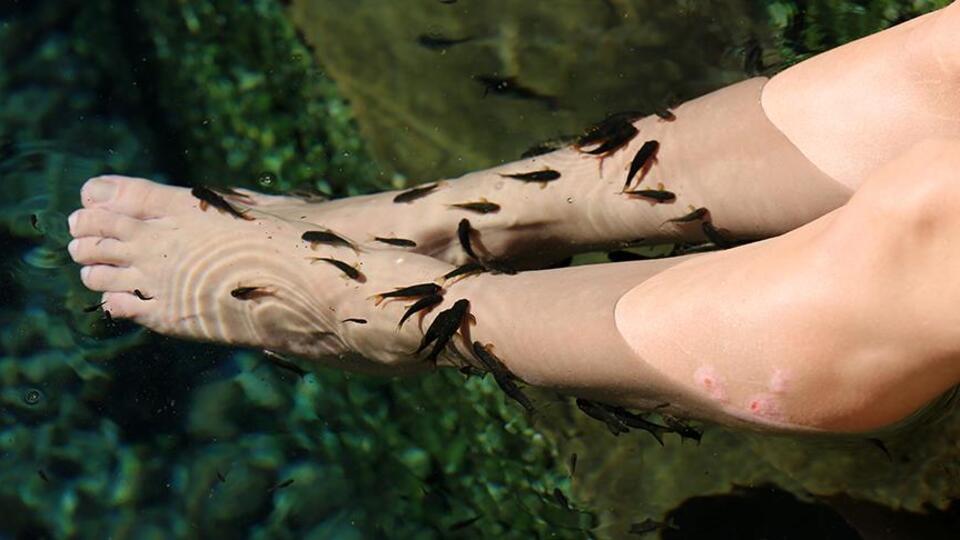 Doktor balıklara Rus ilgisi