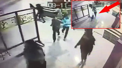 Pitbull okul koridoruna girdi!