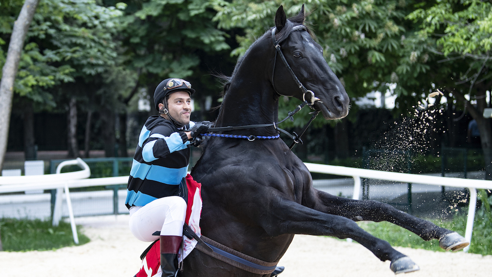 Bold Pilot'u yavrusu canlandırdı