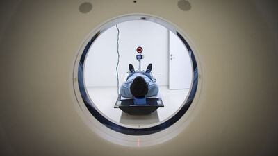 "Türk firmalar Küba ile sağlık alanında iş birliği için çalışıyor"