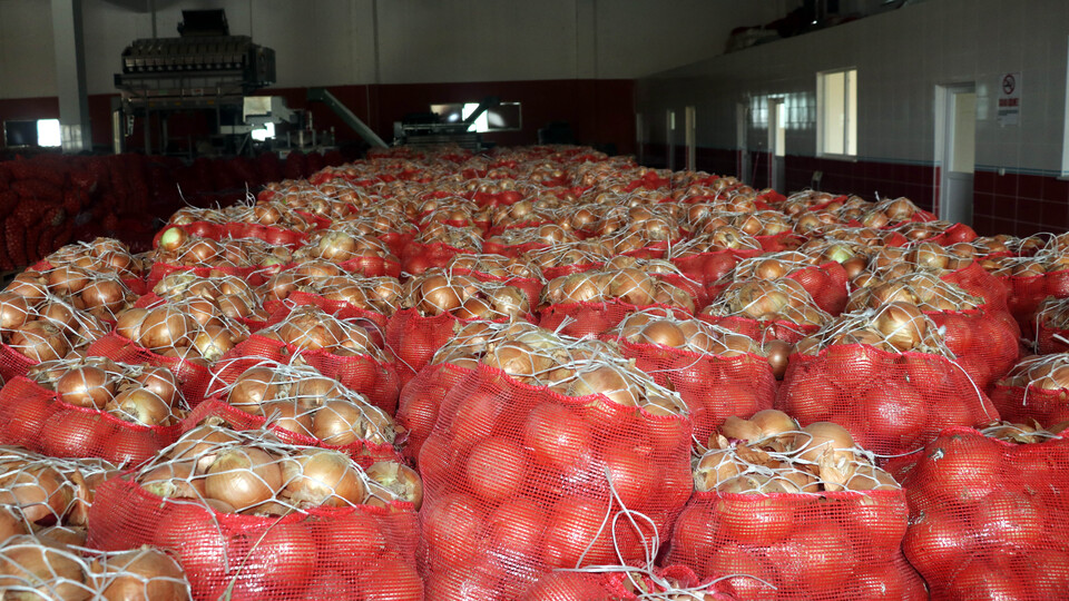 "Spekülatörler kuru soğan fiyatlarını yükseltmeye çalışıyor"