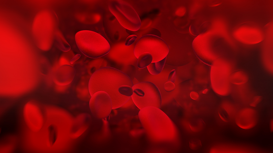 Kansızlığın çaresini açıkladı!