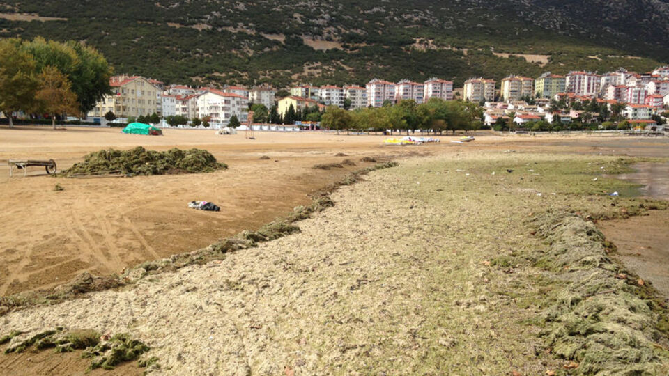 İskele ortada kaldı! Göl adeta boşaltıldı...