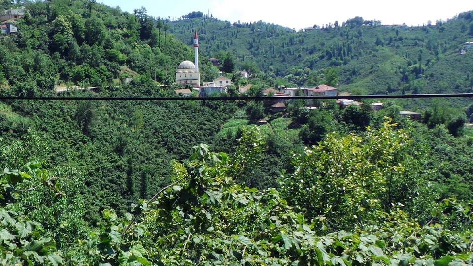 Fıkra gibi mahalle!