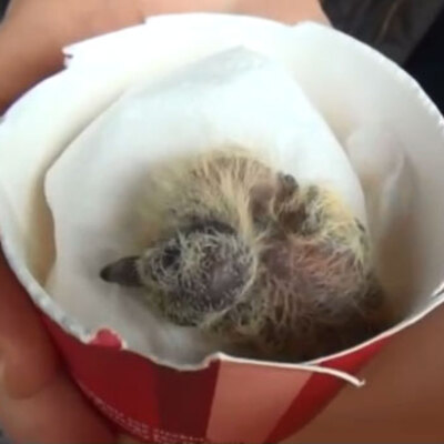 Taksim'de yürekleri ısıtan görüntü!