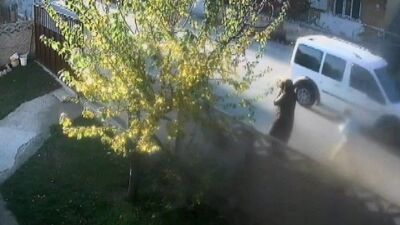 Yaralı kediyi evine götürürken feci kazanın kurbanı oldu