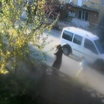 Yaralı kediyi evine götürürken feci kazanın kurbanı oldu