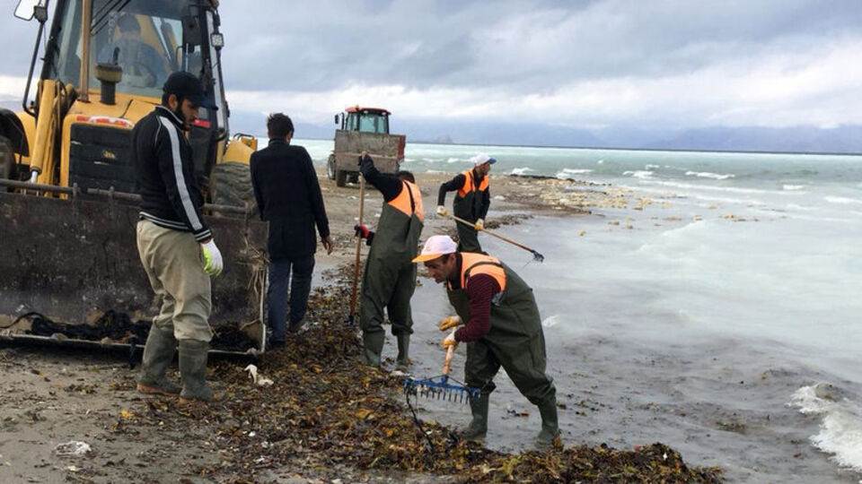 Vatandaşların ihbarı gölü kurtardı! Zift kamyonu Van Gölü'ne devrildi!
