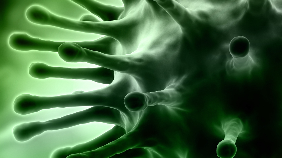 Türk bilim insanlarından büyük başarı!