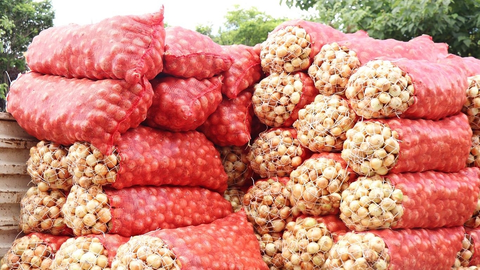 'Patates ve soğan fiyatları bahara kadar artar'