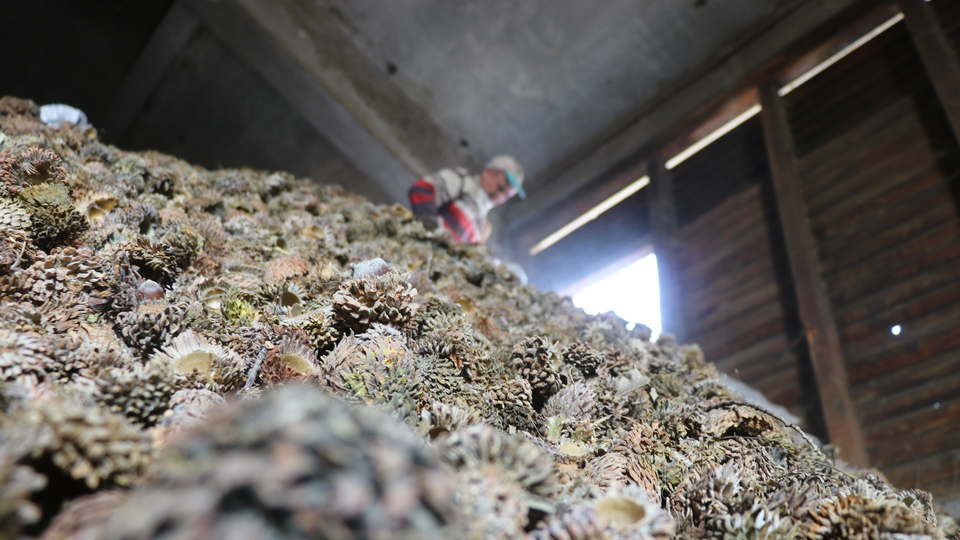 Dış talep yoğun, üretim yetersiz!