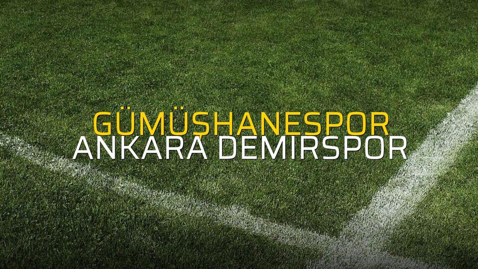 Gümüşhanespor: 2 - Ankara Demirspor: 2 (Maç sona erdi)