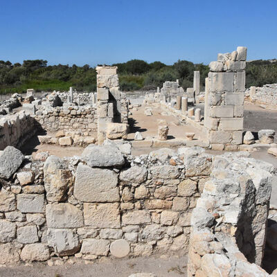 Antalya'da bulundu! "Nasıl geldiğini belirlememiz çok zor"
