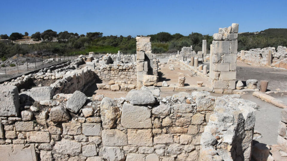Antalya'da bulundu! "Nasıl geldiğini belirlememiz çok zor"